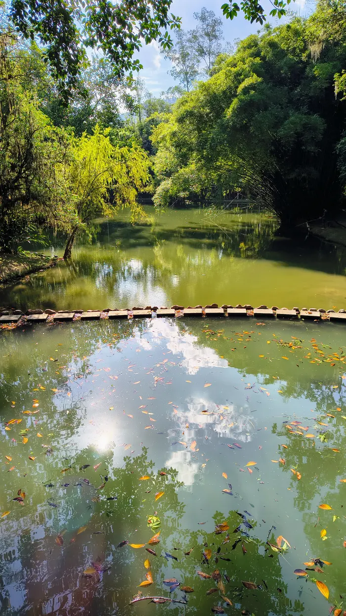 Natureza