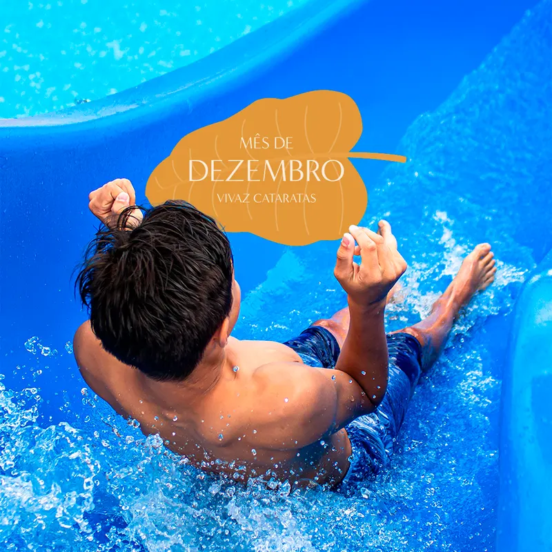 Mês de Dezembro