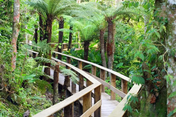 Ecoturismo